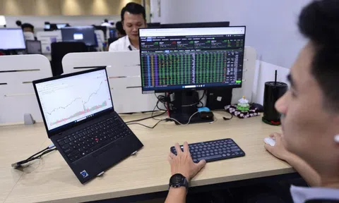 Nông nghiệp Hoà Phát (HPA): IPO 30 triệu cổ phiếu giá 41.900 đồng/cp