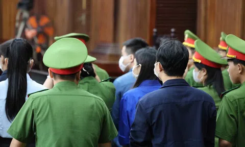 Cái kết đắng cho điệp khúc "thiếu kiến thức"