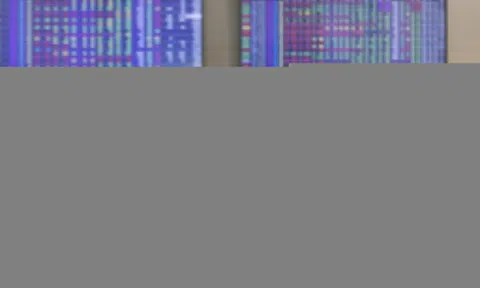 Cổ phiếu Novaland, Vietnam Airlines vẫn chưa thể 'nạp margin'