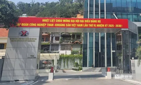 Nhiều đơn vị niêm yết ngành than gặp khó 9 tháng đầu năm 2025