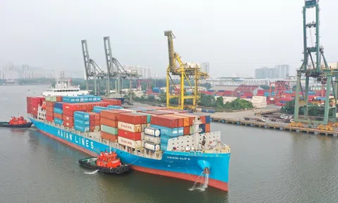 Nhiều doanh nghiệp logistics tại Hải Phòng bội thu