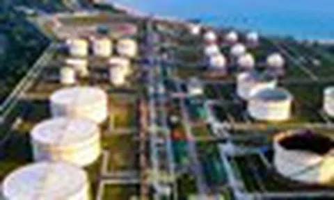 Cổ phiếu cần quan tâm ngày 25/11