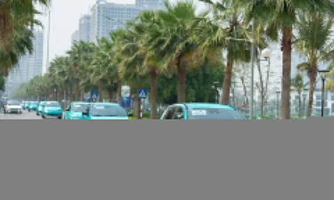 Hãng taxi điện của ông Phạm Nhật Vượng tăng vốn lên gần 1 tỷ USD