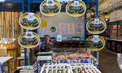 Sự kiện Xin chào Cà Mau tại TP HCM mang về doanh thu hàng chục tỉ đồng