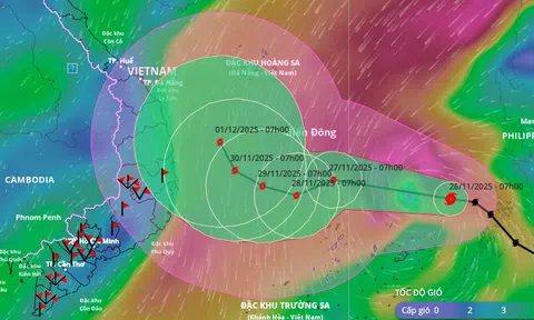 Bão số 15 vào Biển Đông, các tỉnh, thành từ Quảng Trị - Lâm Đồng chủ động ứng phó