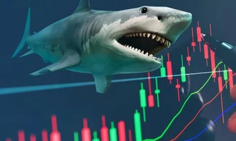 Thực hư chuyện quỹ ngoại quy mô 500 triệu USD phải bán toàn bộ danh mục cổ phiếu Việt Nam khi nâng hạng