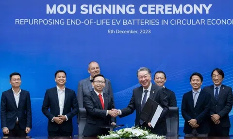 Con trai ông Phạm Nhật Vượng tham gia HĐQT VinFast