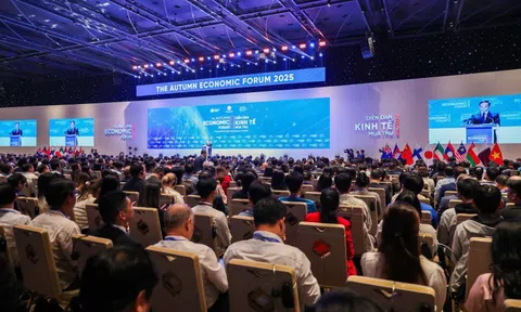 Chuyên gia Trung Quốc, Hàn Quốc chỉ ra con đường ngắn nhất để TP HCM thành siêu đô thị