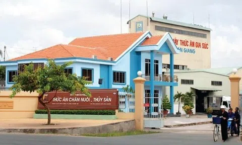 Thêm một cổ phiếu thủy sản chuẩn bị cập bến HoSE