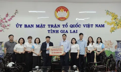 TP Hà Nội hỗ trợ tỉnh Gia Lai 200 tỉ đồng khắc phục hậu quả mưa, lũ
