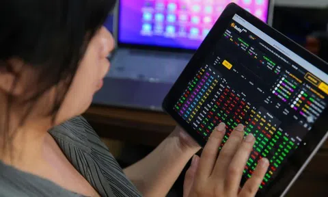 Chứng khoán Hòa Bình bị đình chỉ một phần hoạt động giao dịch