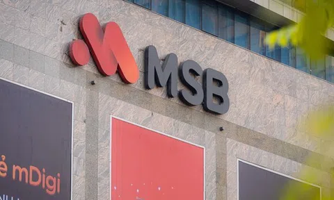 VNPT đăng ký bán đấu giá 188,7 triệu cổ phần tại MSB