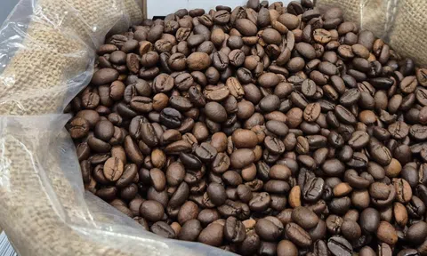 Giá cà phê hôm nay 27-11: Đảo chiều giảm trở lại