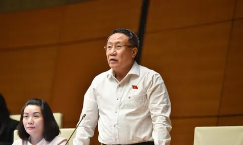 ĐBQH: Ưu đãi lớn mà không kèm chuyển giao công nghệ thì "mãi làm công xưởng"