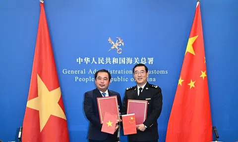 Mít tươi được phép xuất khẩu chính ngạch sang Trung Quốc