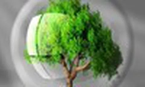 Nhận định thị trường phiên giao dịch ngày 28/11: Điểm mua luôn ưu tiên chờ nhịp điều chỉnh