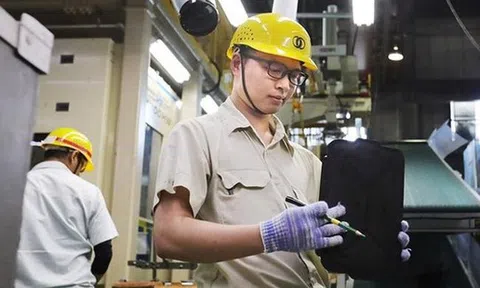 Hạn cuối nộp báo cáo lao động 6 tháng cuối năm 2025 của doanh nghiệp