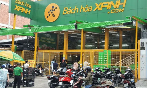 Tổng Giám đốc MWG: Bách Hóa Xanh lãi không dưới 600 tỷ năm 2025, mục tiêu xoá lỗ luỹ kế là thách thức nhưng khả thi