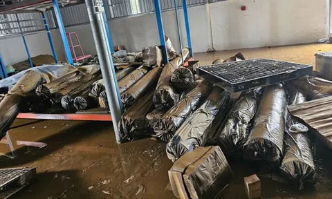 Ngân hàng đồng loạt trợ giúp vùng bão lũ