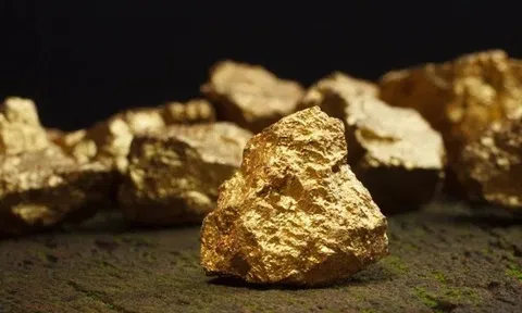 Công ty đào vàng lớn nhất Việt Nam nguy cơ bị hủy tư cách đại chúng