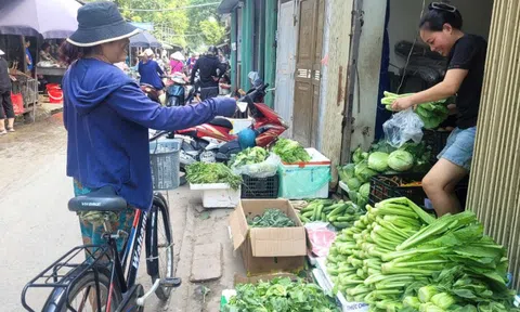 Mưa lũ lịch sử: Giá rau xanh tăng cao, nhiều người đi mua xăng dầu, Bộ Công Thương có chỉ đạo?