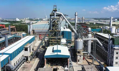 Những lần xoay xở của Thép Pomina trước khi gặp "phao cứu sinh" Vingroup