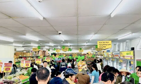 "Đại gia" bán lẻ phía Nam cùng lúc mở 20 siêu thị ở một tỉnh phía Bắc