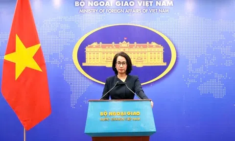 Gần 16 triệu USD hỗ trợ Việt Nam khắc phục hậu quả thiên tai, bão lũ