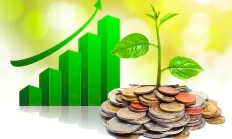 Lịch chốt quyền cổ tức 1/12– 5/12: FPT, CTD, MSH đồng loạt "lăn chốt", cổ tức tiền mặt cao nhất 40%