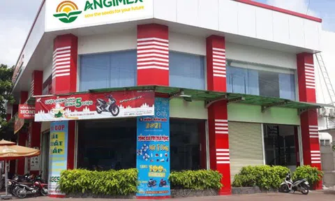 Angimex bị xử phạt do vi phạm công bố thông tin