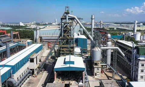 Những lần xoay xở của Thép Pomina trước khi gặp "phao cứu sinh" Vingroup