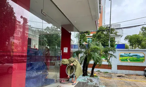 Bảo hiểm Agribank: Tổng lực giám định – bồi thường hàng trăm tỷ đồng thiệt hại do mưa lũ