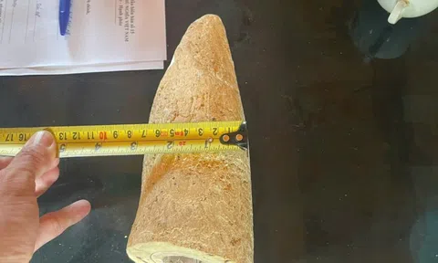 Nhặt được vật màu trắng dưới sông nghi là ngà voi