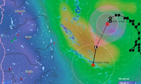 Áp thấp nhiệt đới vẫn "luẩn quẩn" trên Biển Đông, miền Trung bắt đầu đợt mưa lớn