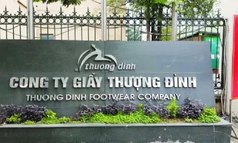 Sức nóng thoái vốn đẩy cổ phiếu tăng liên tiếp