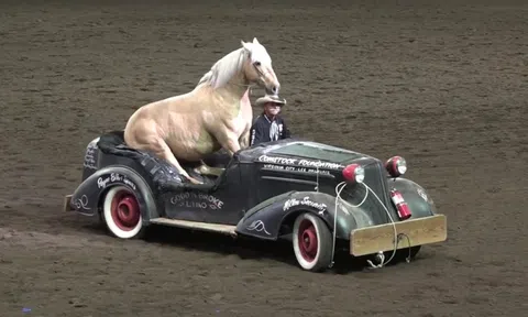 Vì sao động cơ hiện đại vẫn đo công suất bằng mã lực?