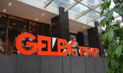 Cổ phiếu 'họ Gelex' đua nhau tăng trần