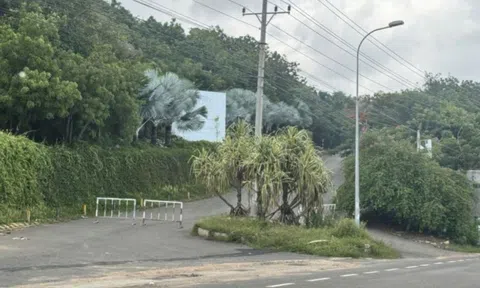 Hàng loạt sai phạm ở dự án sân golf Hòn Rơm gần 200 ha tại Mũi Né