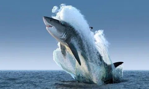 Chuyên gia dự báo nhóm cổ phiếu sẽ "dẫn sóng" thị trường năm 2026