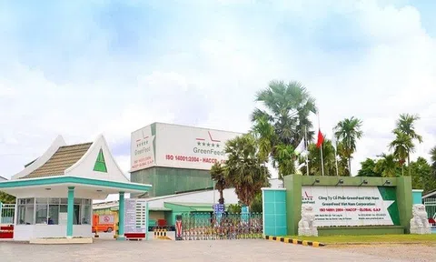Lợi nhuận GreenFeed tăng vọt, dẫn đầu nhóm doanh nghiệp chăn nuôi