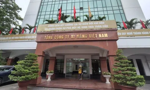 Vì sao 'ông trùm' xi măng thoái vốn tại nhiều doanh nghiệp?