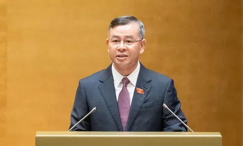 Còn tình trạng nhà, đất bị bỏ hoang, dùng không đúng mục đích