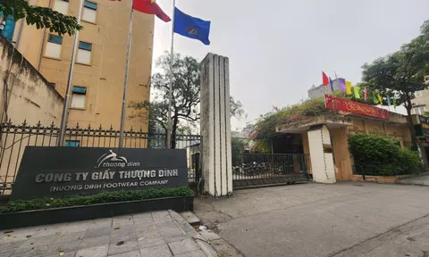 Cổ phiếu tăng trần 12 phiên liên tiếp, Giầy Thượng Đình lên tiếng giải trình