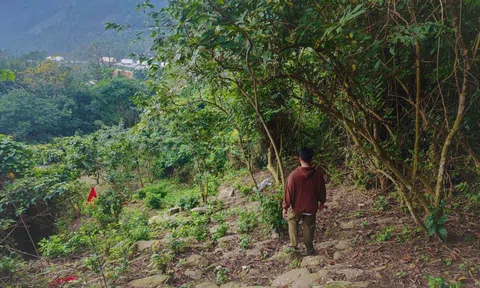Quảng Trị cùng lúc xuất hiện 2 hiện tượng lạ “chưa từng ghi nhận” dưới chân Đèo Ngang