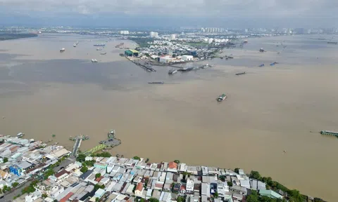 Chi tiết thiết kế cầu Cần Giờ sắp phá thế độc đạo phà Bình Khánh