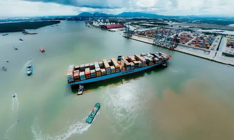 TPHCM chuẩn bị thu phí hạ tầng cảng biển tại Bình Dương và Bà Rịa - Vũng Tàu