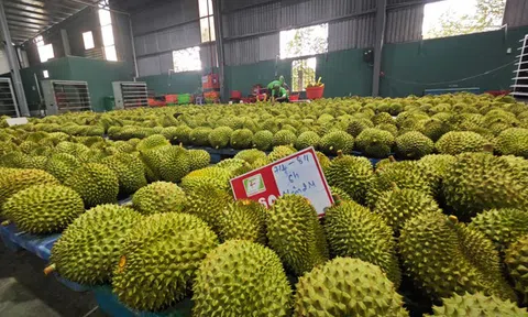 Xuất khẩu nông, lâm, thủy sản sớm về đích