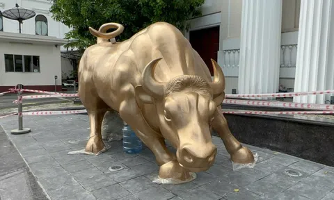 Sở Giao dịch Chứng khoán TPHCM thay biểu tượng "bò tót tấn công" sau 25 năm?