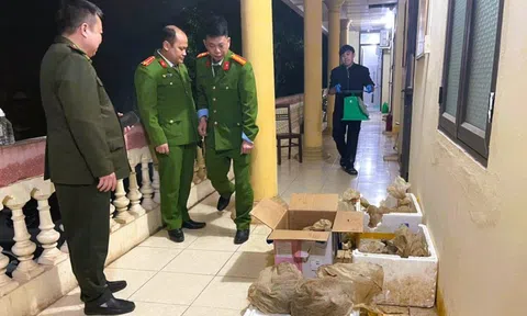 Cứu hộ 12 con vật quý hiếm được công an phát hiện trên ô tô 7 chỗ