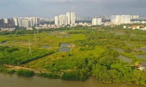 Quốc Cường Gia Lai muốn bán tài sản để trả món nợ liên quan bà Trương Mỹ Lan